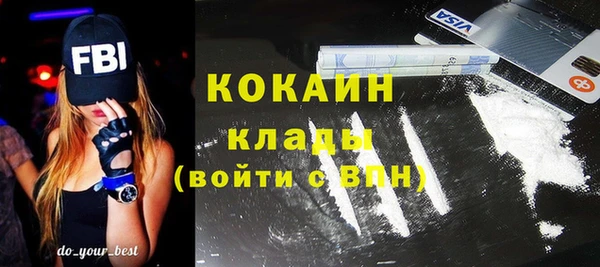 COCAINE Богородицк